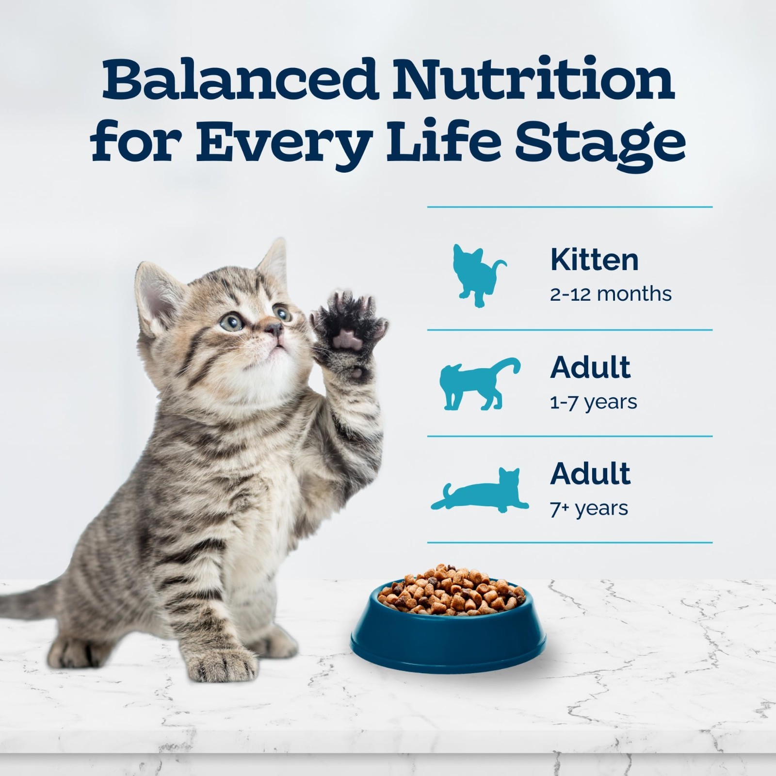 2PK -Blue Buffalo Tastefuls Kitten Dry Food – Natural, Chicken & Brown Rice, 7lb