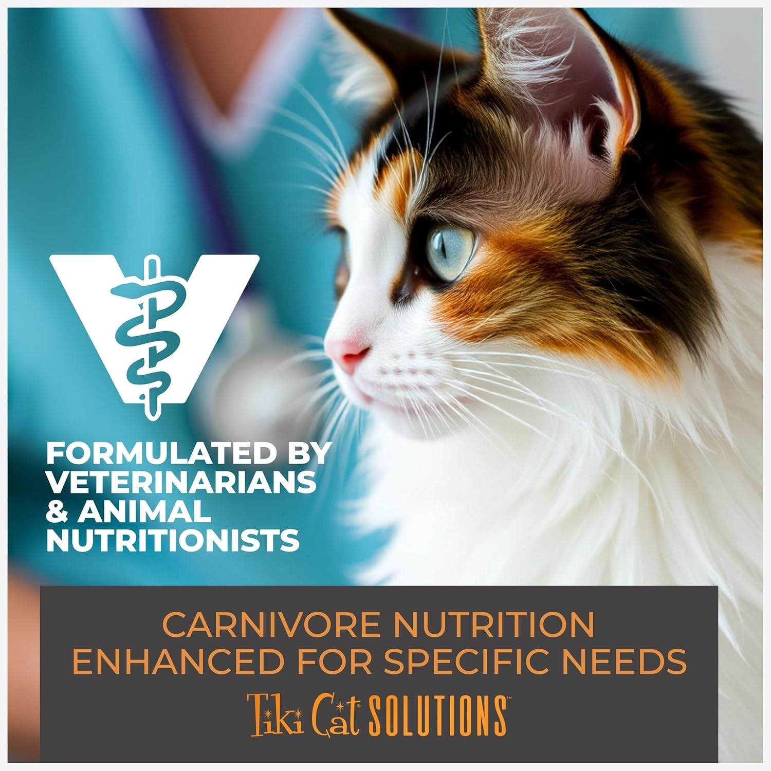 Tiki Cat Solutions Skin & Coat, Salmon & Herring Dry Cat Food, 5.6 lbs.