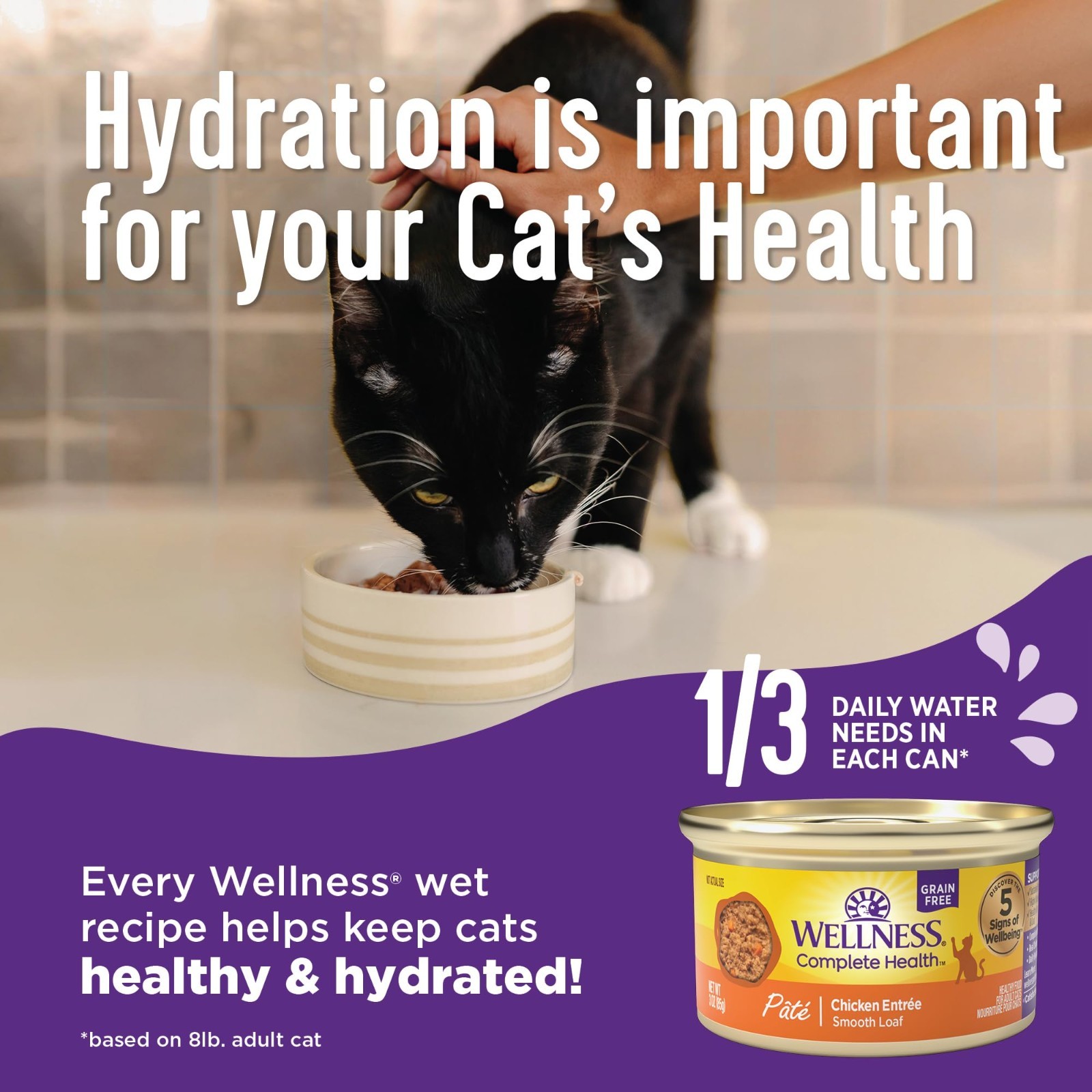 Wellness Complete Health Pate Kitten Wet Cat Food, Chicken, 3 oz – 48 ct