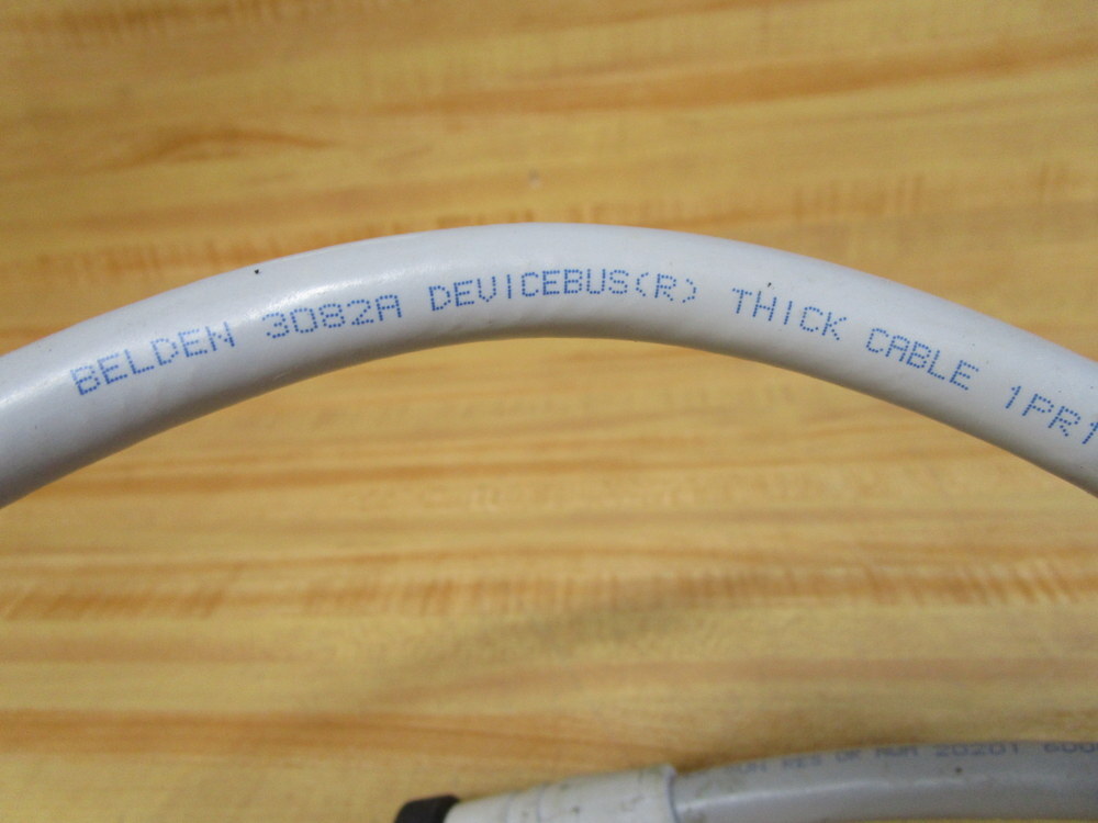 Lumberg Automation 0935 613 301/1M Double Ended Cord RSRK 50-613/1M