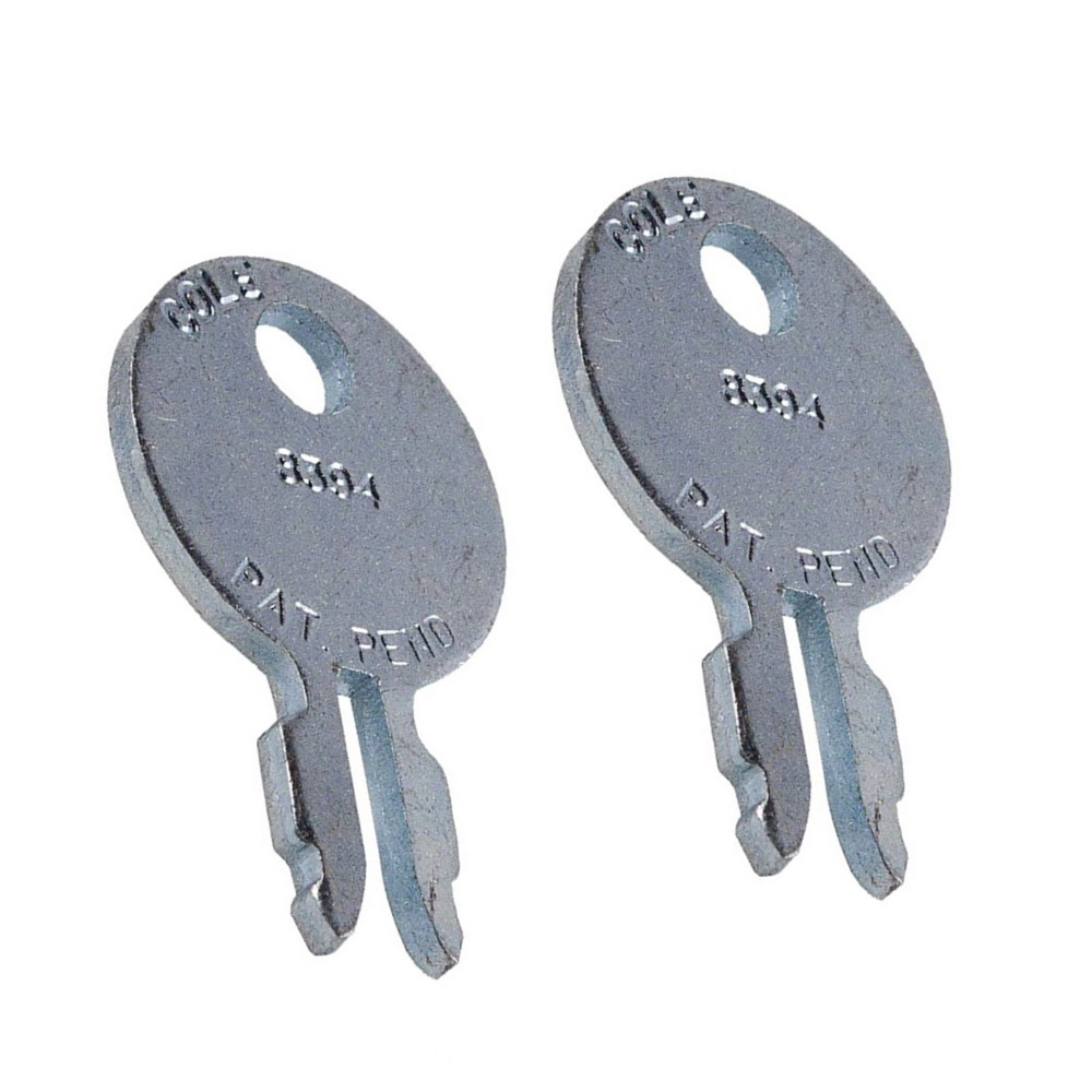 (2)- Ignition Switch Key Fits Massey Ferguson 35 50 65 85 TO20 TO30 TO35