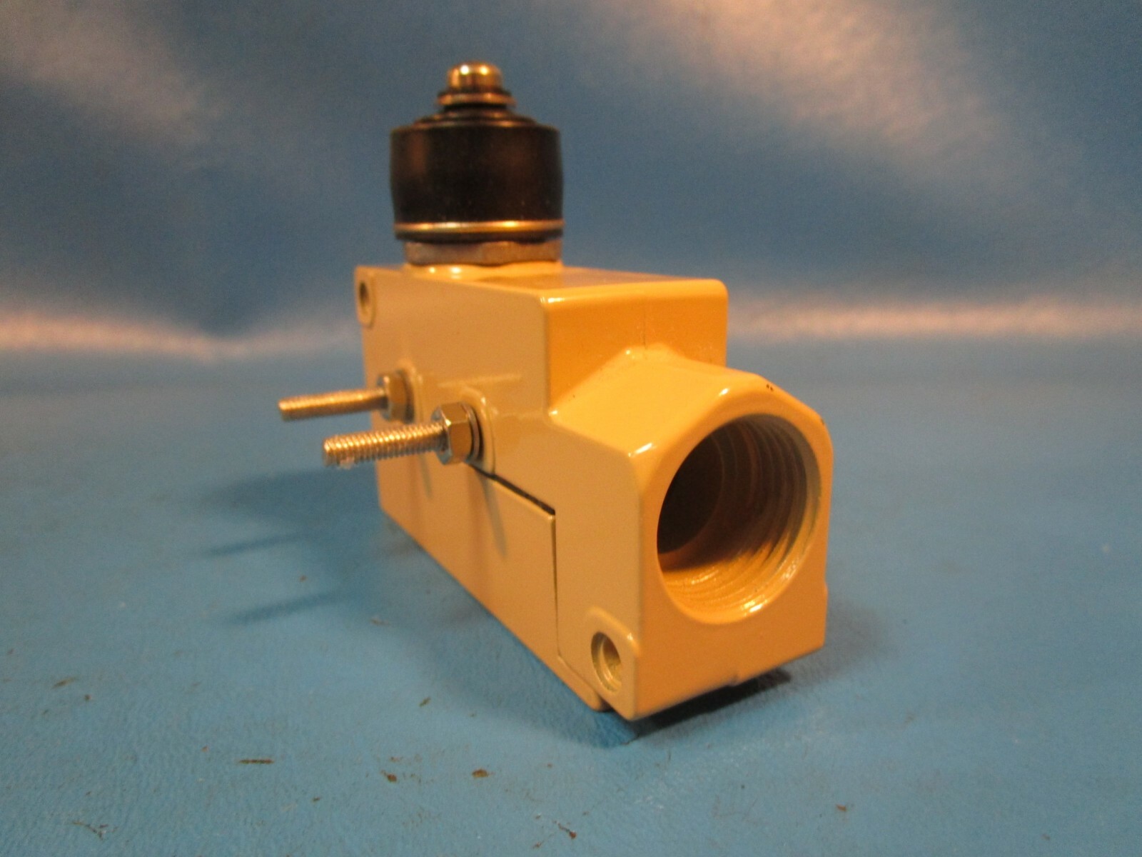 Moujen, MJ1-6111, Limit Switch, Seal Button Plunger, Side Mount