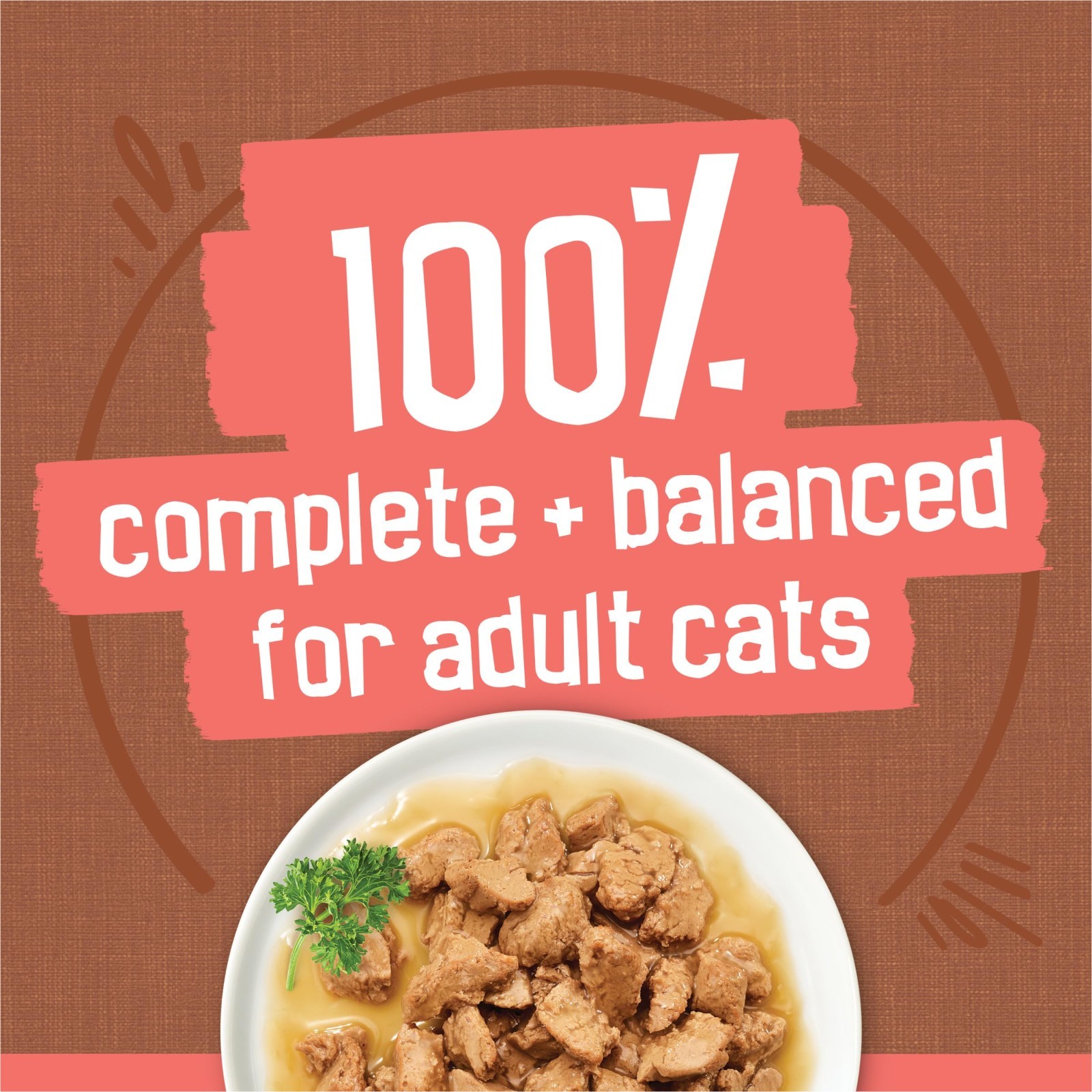 Purina Friskies Extra Gravy Wet Cat Food Chunky 24ct Variety Pack, 5.5 oz. Cans