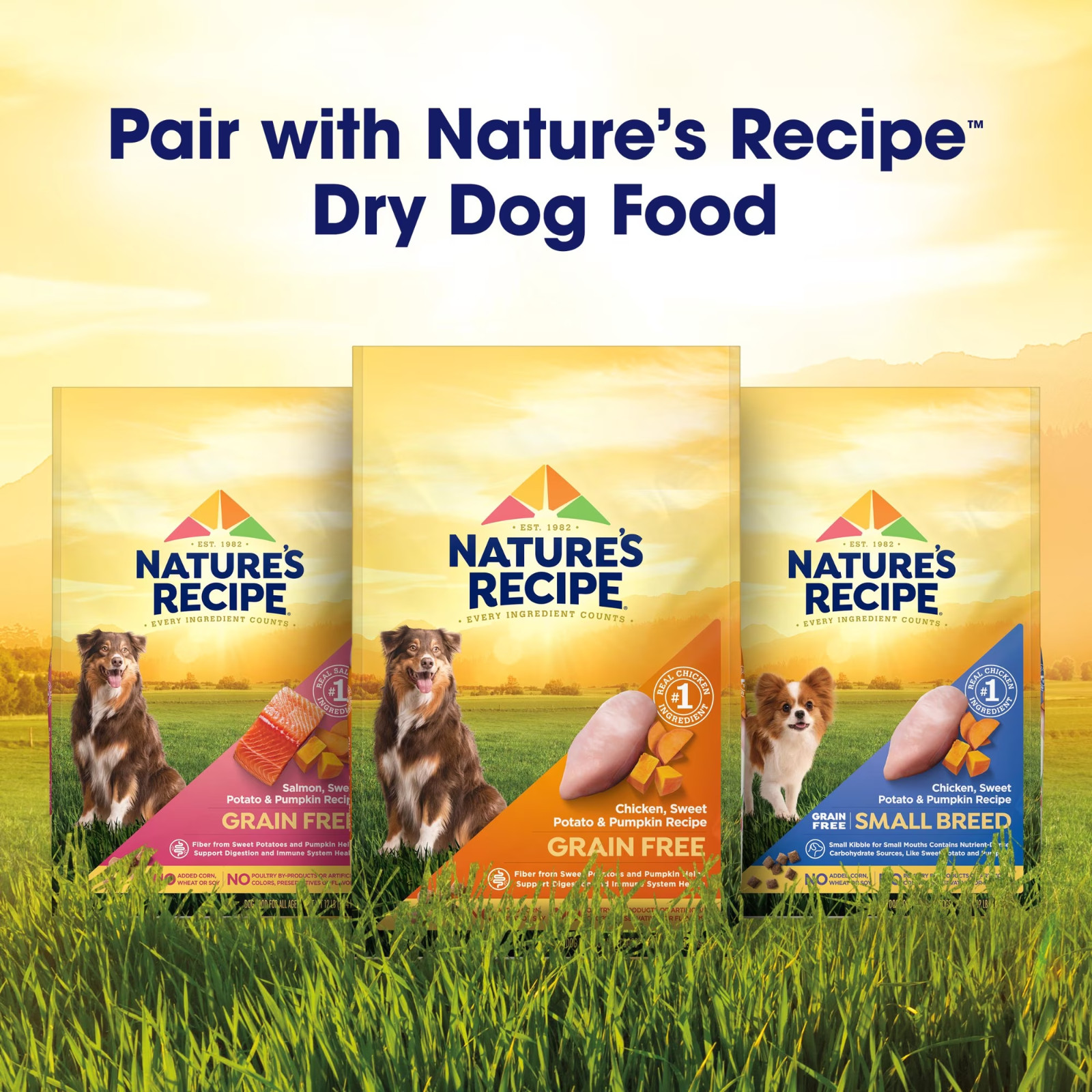 4 Pack Nature’s Recipe Chicken, Salmon & Turkey Wet Dog Food, 2.75 oz Cups 12Ct