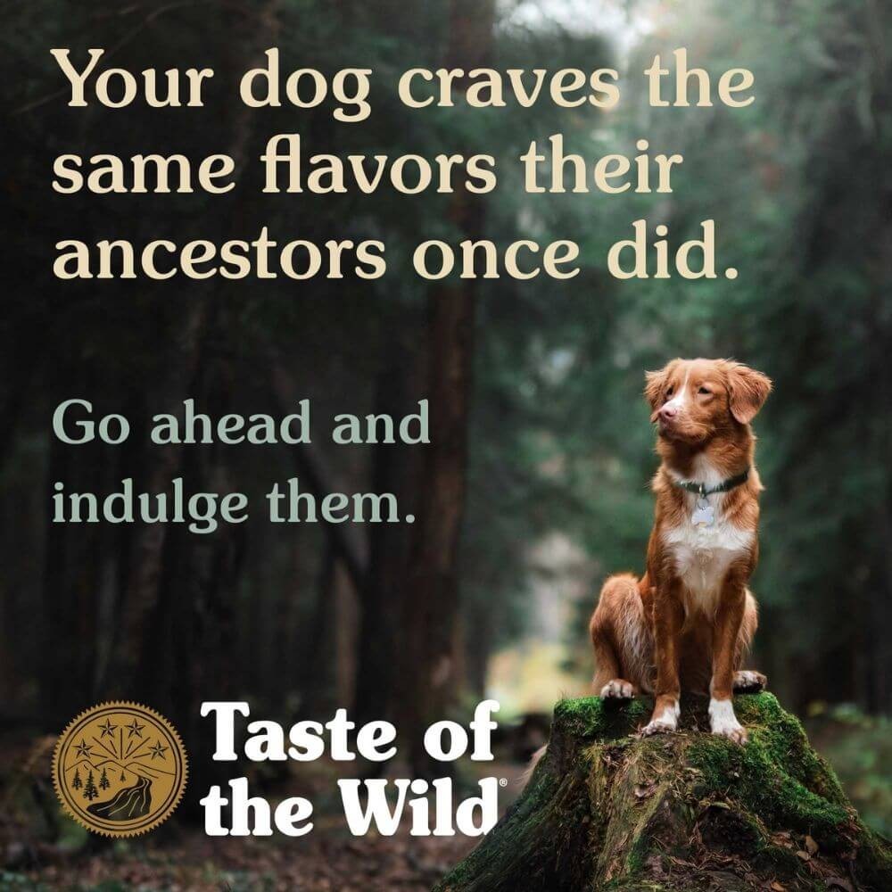 Taste of the Wild Dry Dog Food – Wetlands with Roasted Fowl, 28lbs