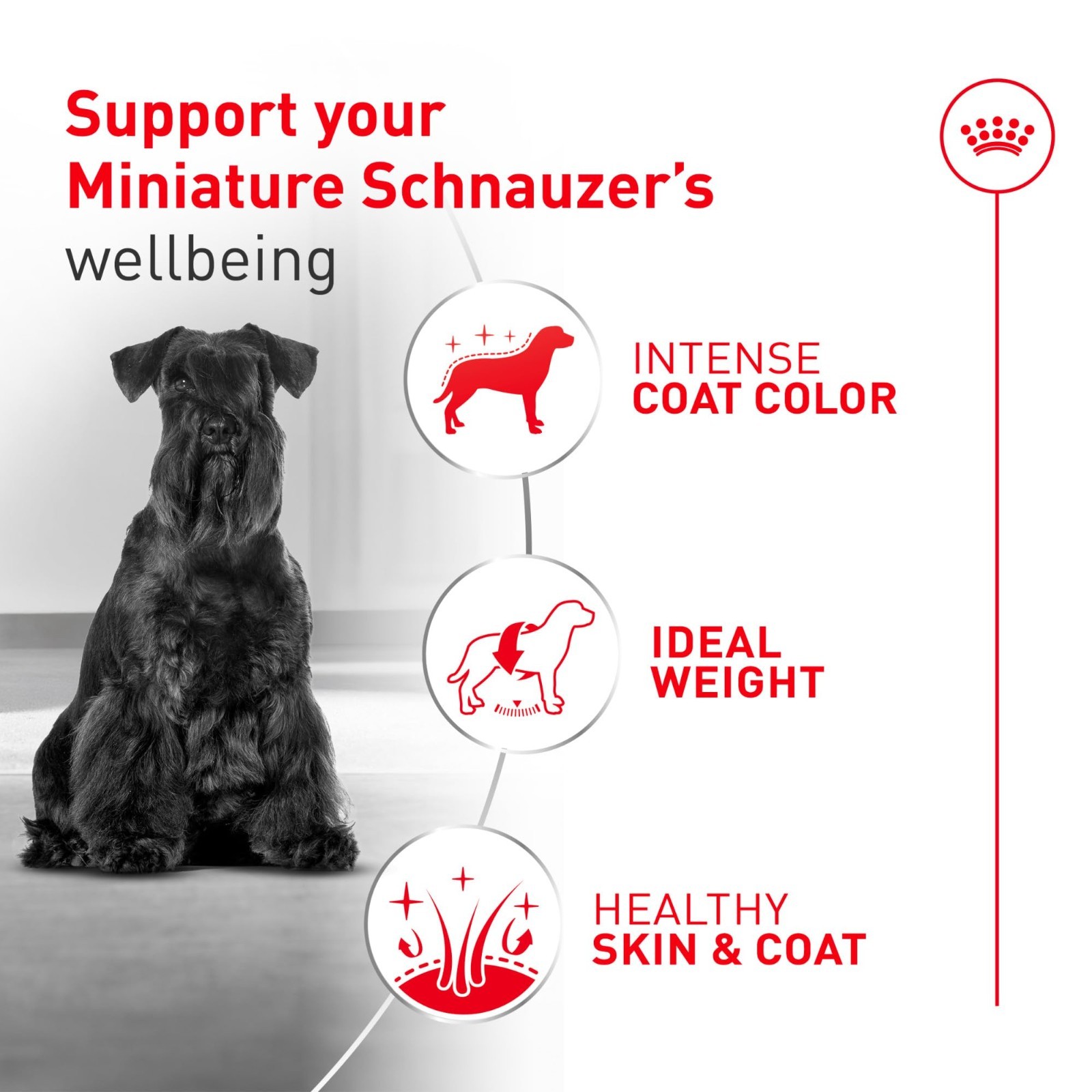 Royal Canin Breed Health Nutrition Miniature Schnauzer Adult Dry Dog Food, 10 lb