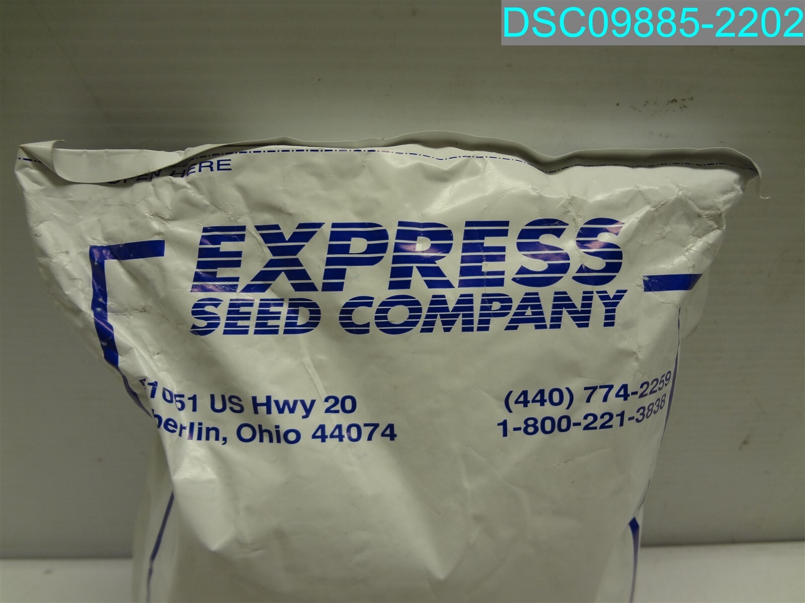 QTY=10,000: Green Griller F1 Hybrid Summer Squash Seeds