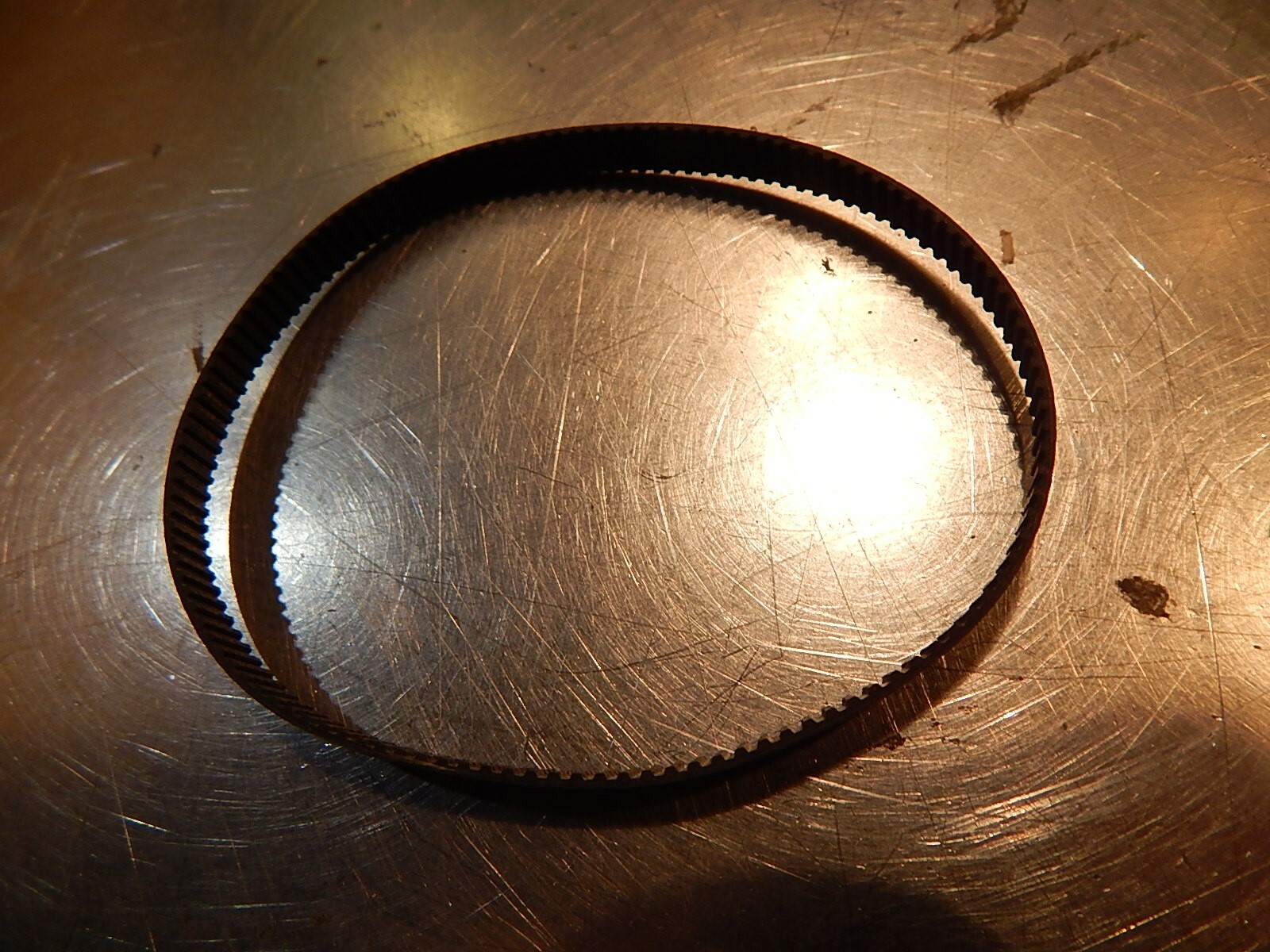 NEW Contitech B126MXL 025 Belt *FREE SHIPPING*