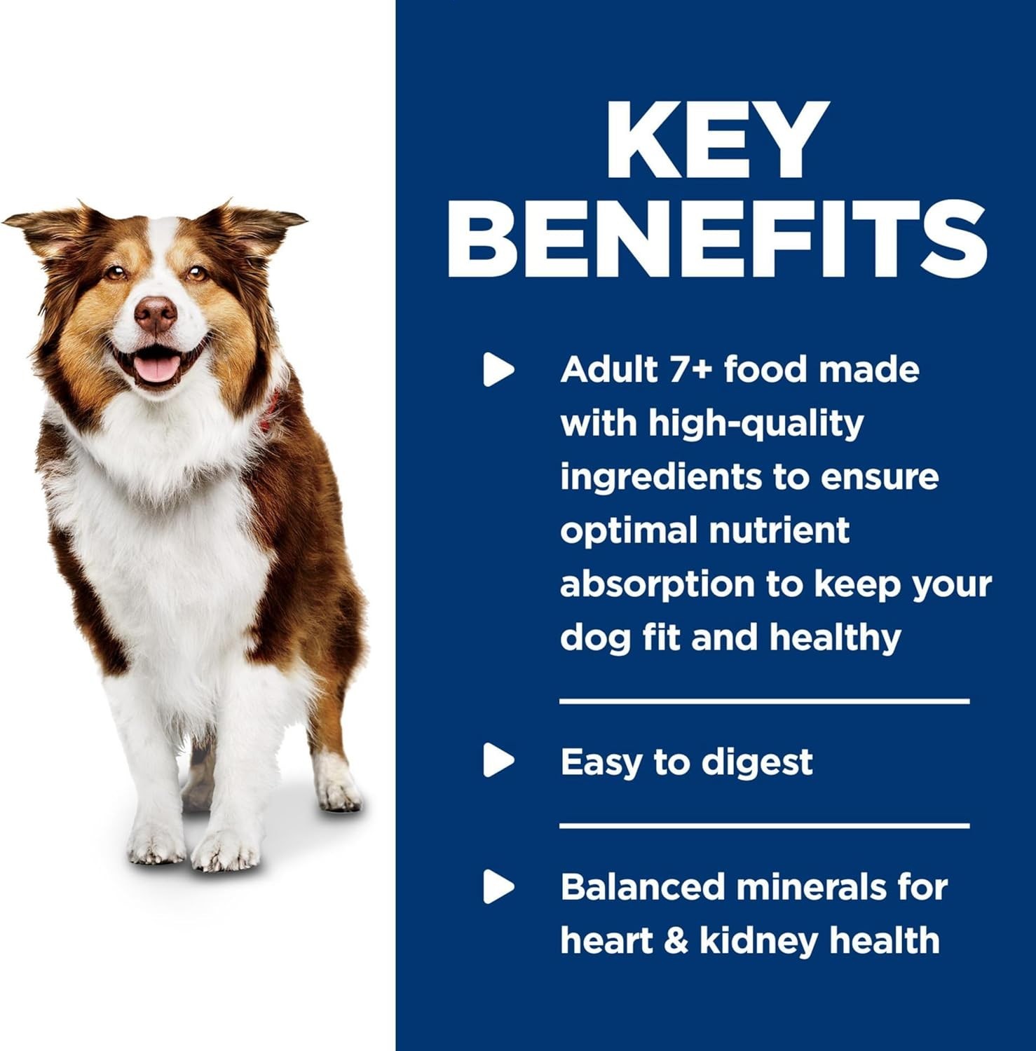 Hill’s Science Diet Adult 7+ Savory Stew Beef Vegetables Wet Dog (12) 12.8 oz