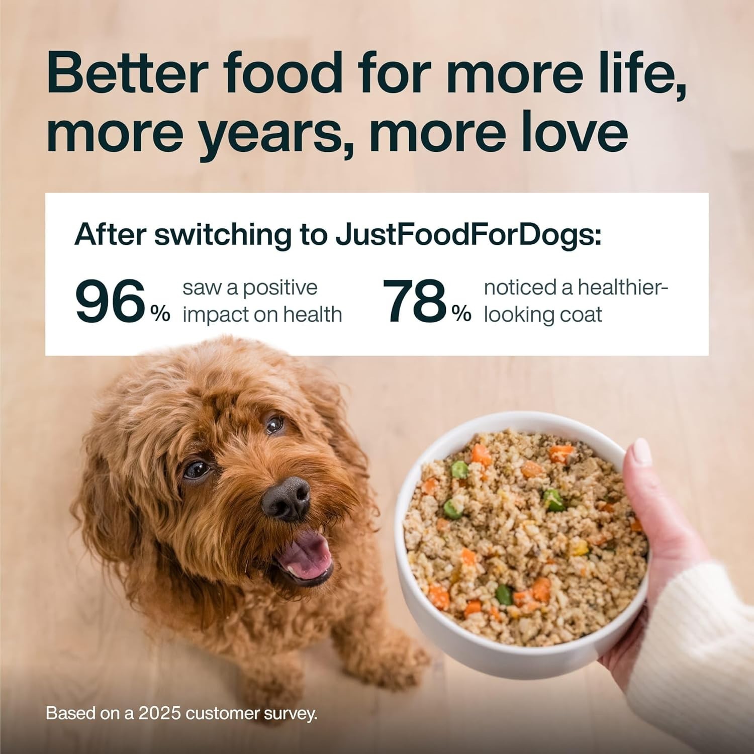 JustFoodForDogs JustFresh All Life Stages Fresh Dog Food – Chicken, 12 oz -7Pack