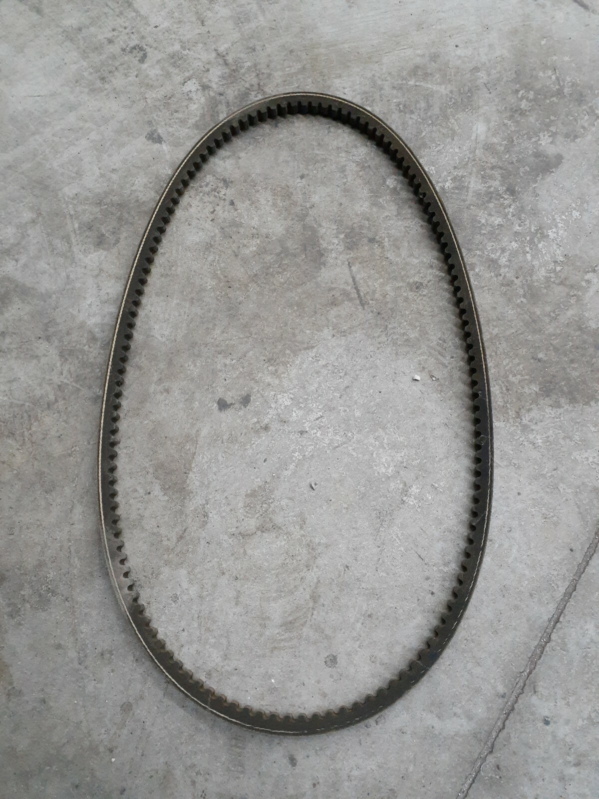Powerflite Bx-50 V Belt No Card