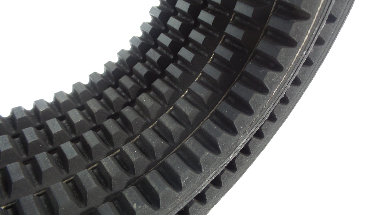 Bestorq BX99 X5 Belt – Free Shipping