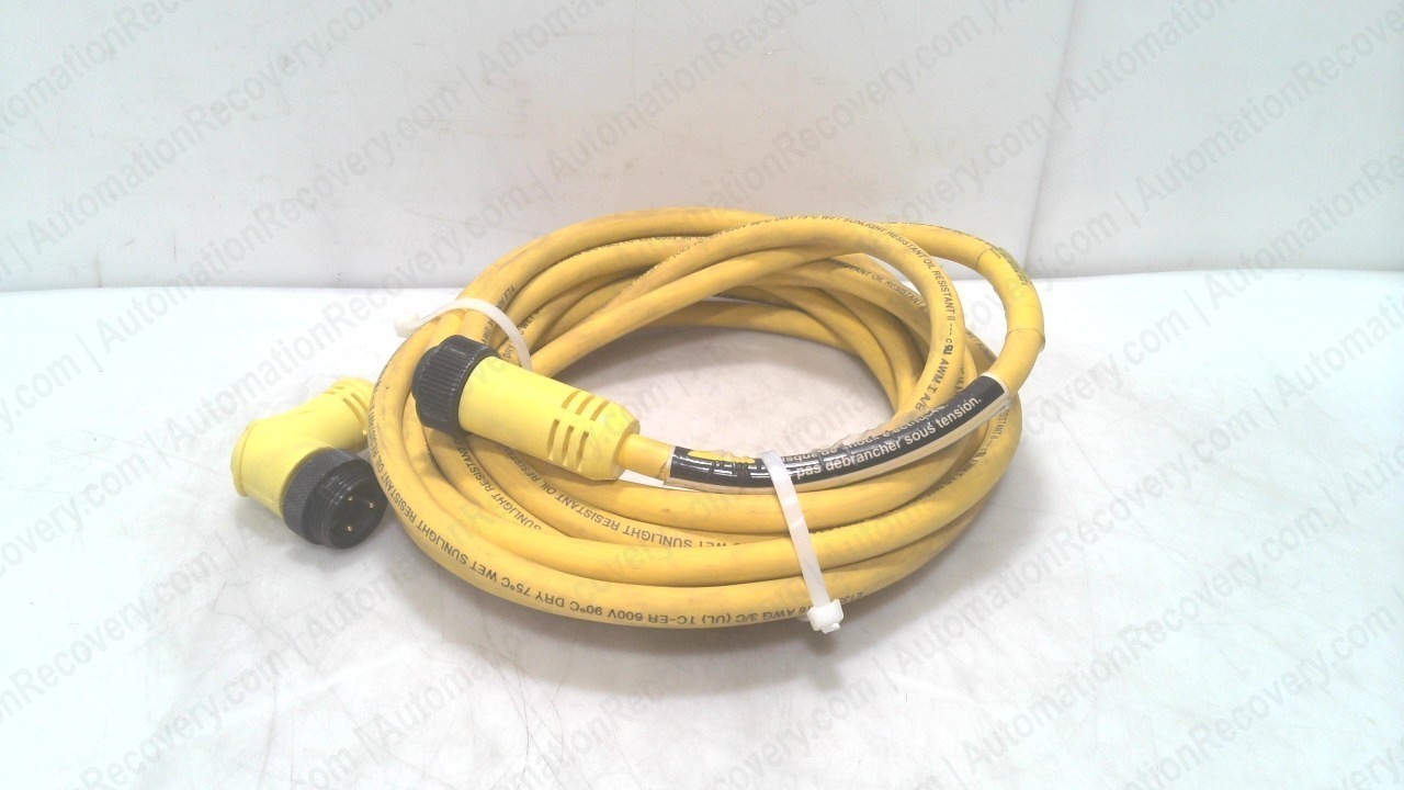BRAD POWER 223032K13M060, DOUBLE ENDED CORDSET, 1300621271 #352015