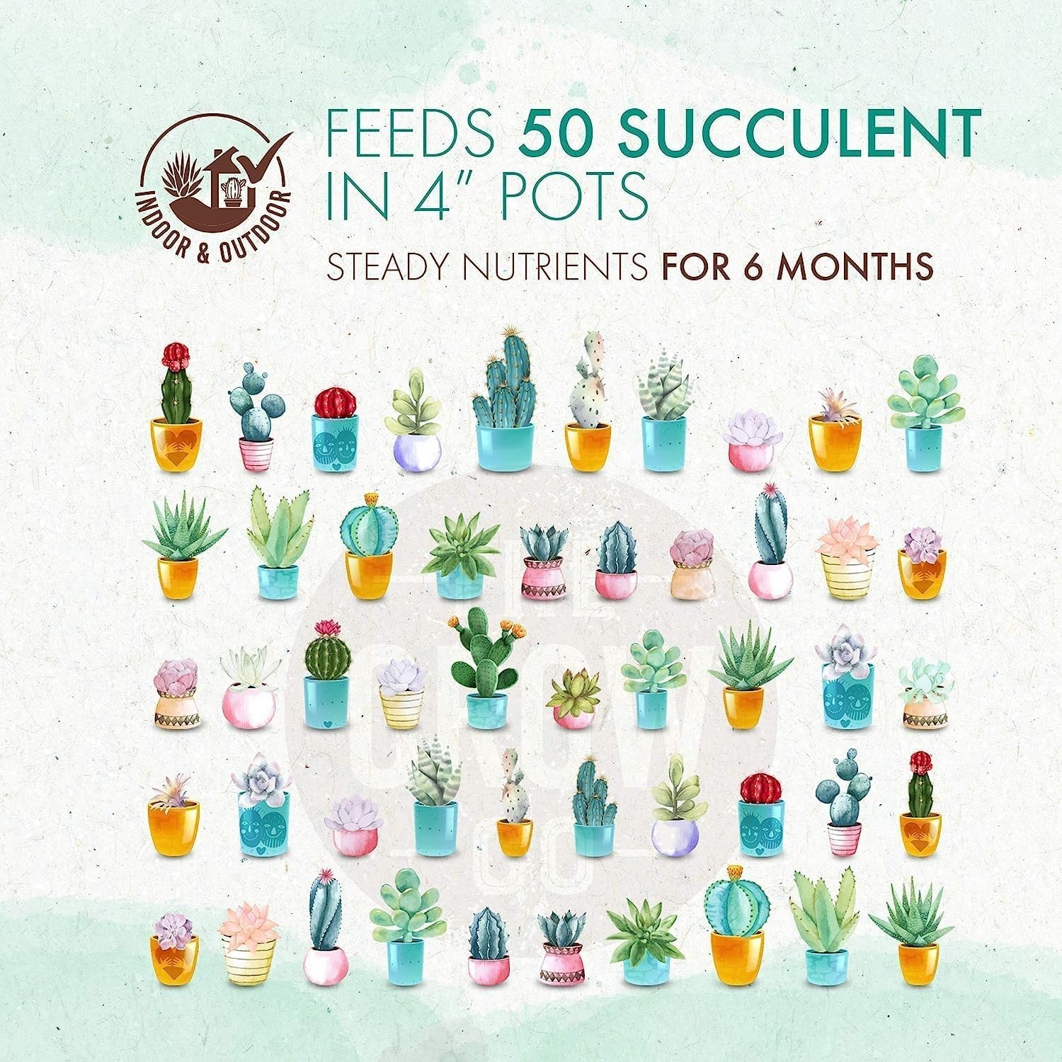 Succulents & Cactus Plant – Gentle Long Lasting Formula, Slow Release Fertilize