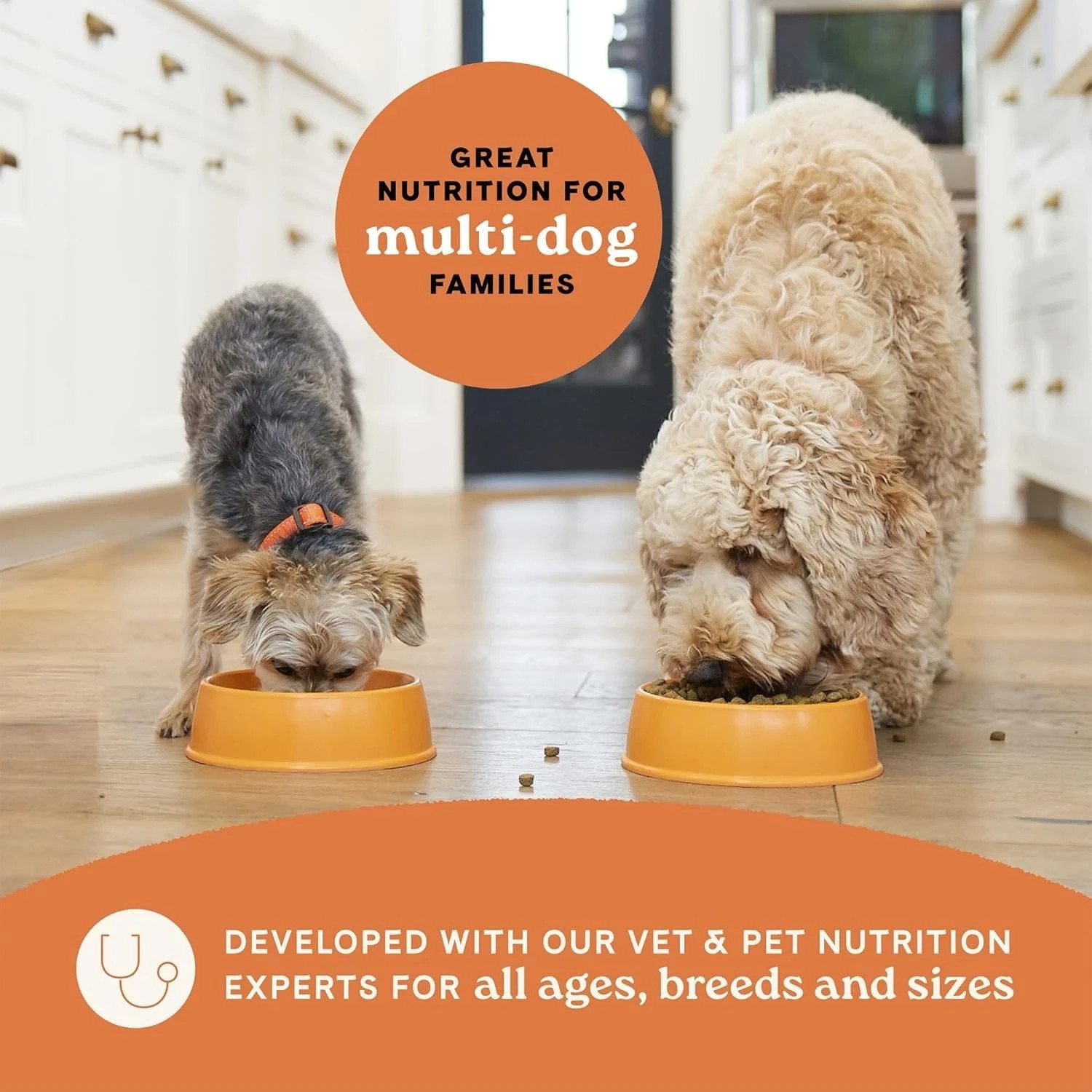 Canidae All Life Stages Dry Dog Food – Multi-Protein Recipe. 40 Lb (Pack of 1 )