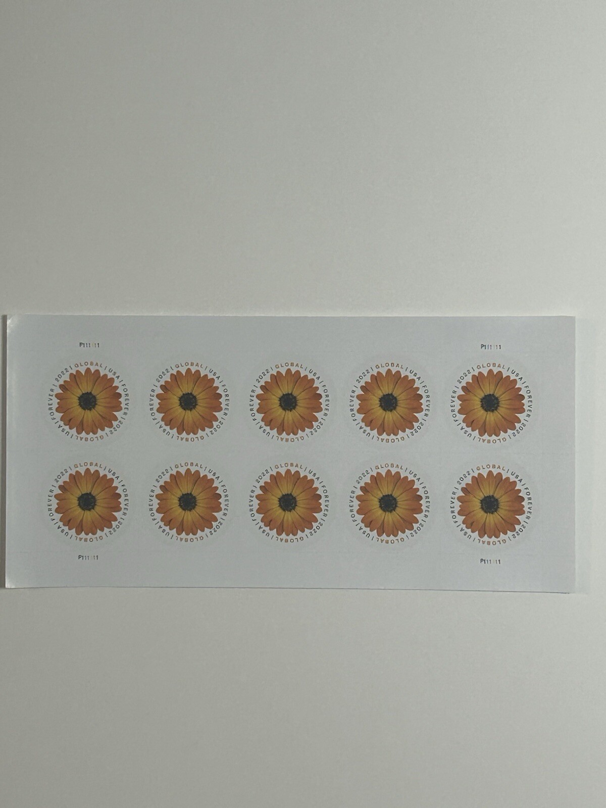 1 Sheet African Daisy Global Postage