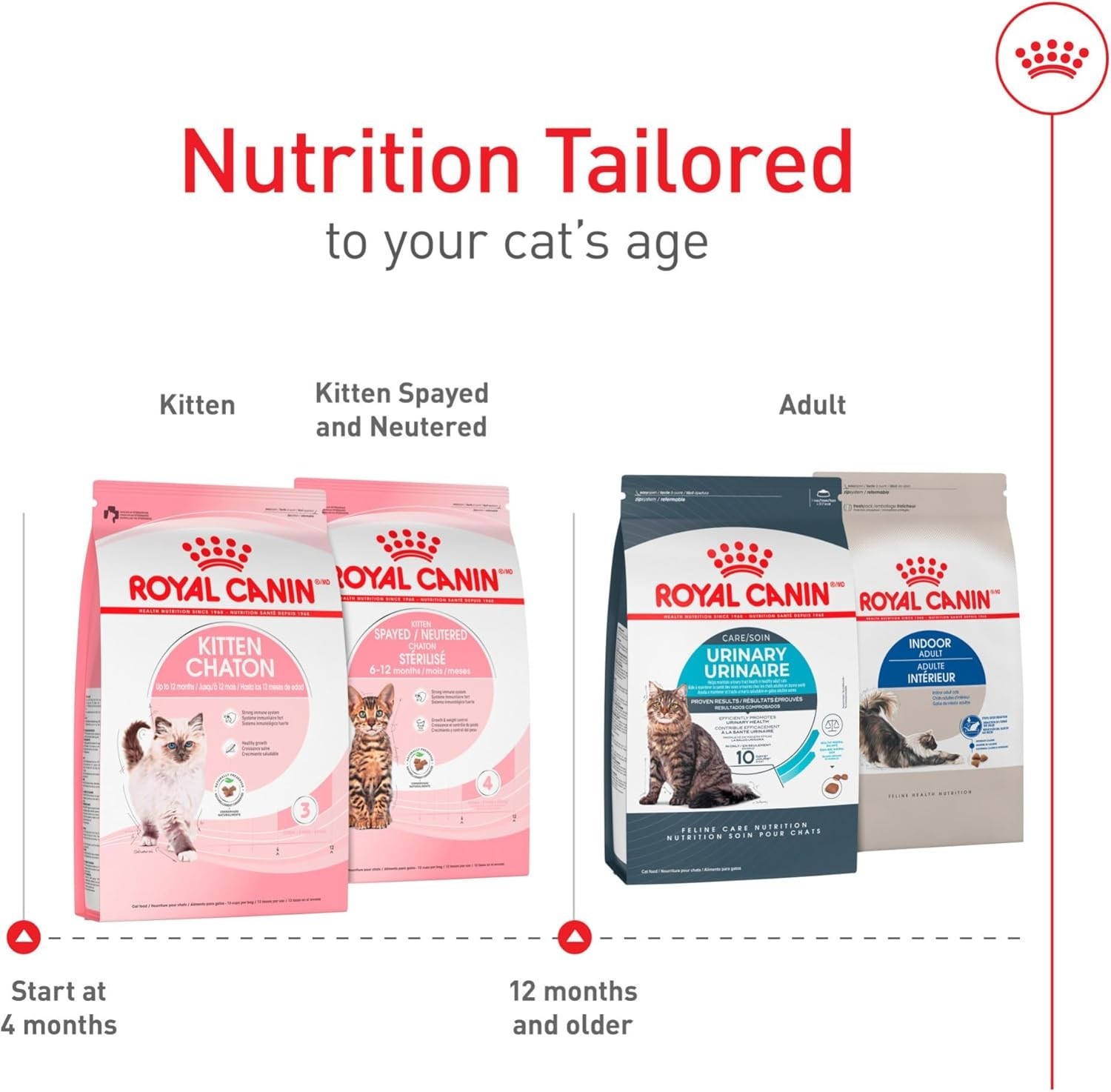 Royal Canin Feline Health Nutrition Kitten Dry Cat Food, 14 lb Bag