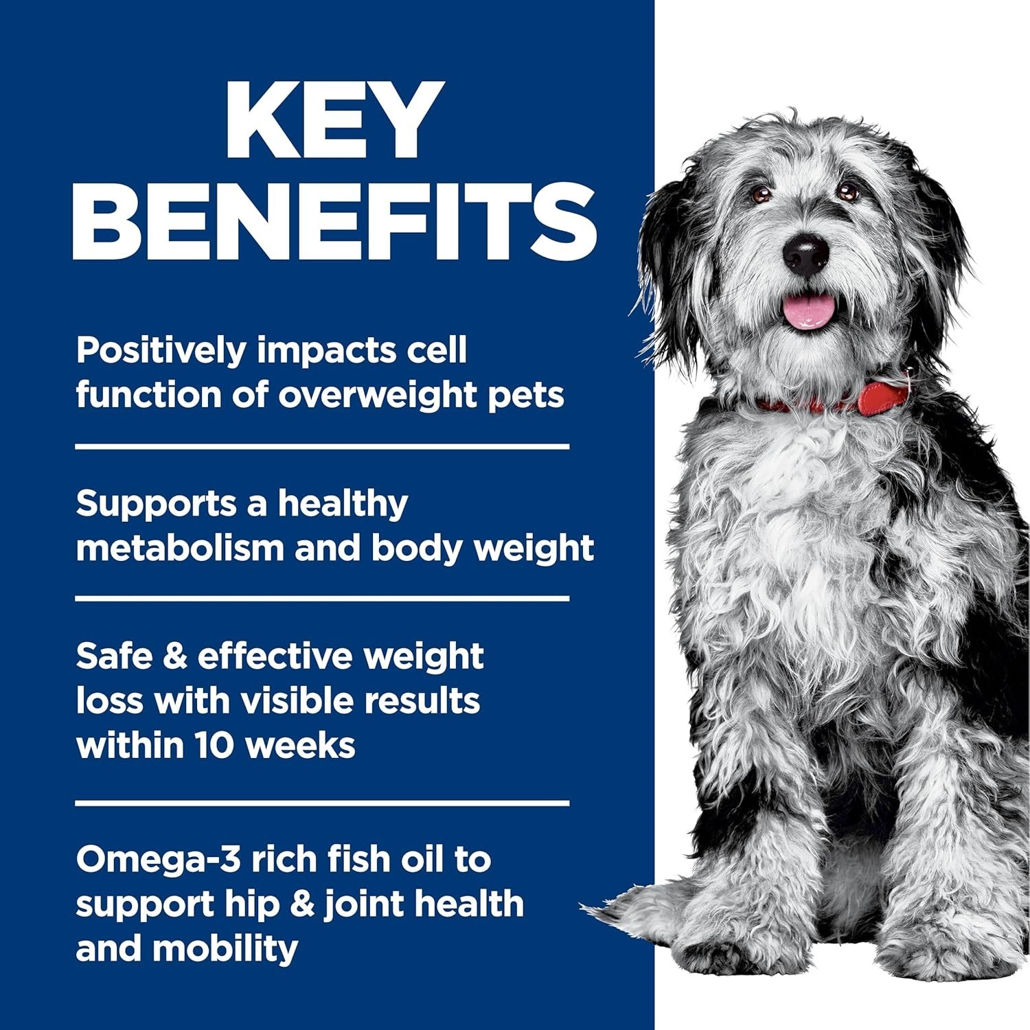 Hill’s Science Diet Perfect Weight & Joint Support Chicken Dog Food 25lb