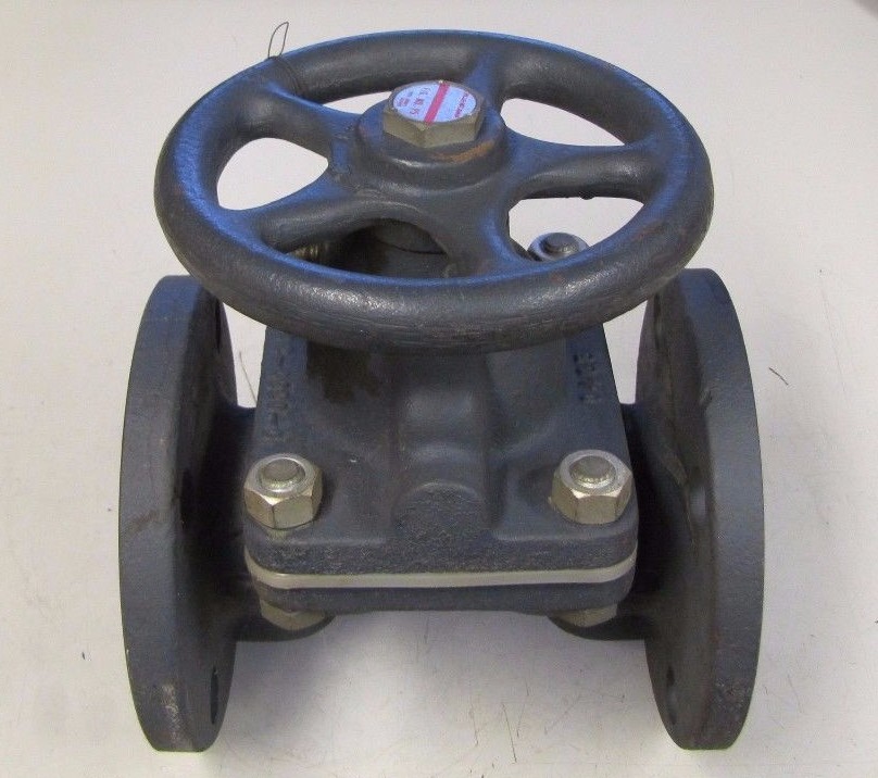 HILLS MCCANNA P5 A12-0220-C 0465 2″ (4 BOLT) FLANGE DIAPHRAGM VALVE NEW