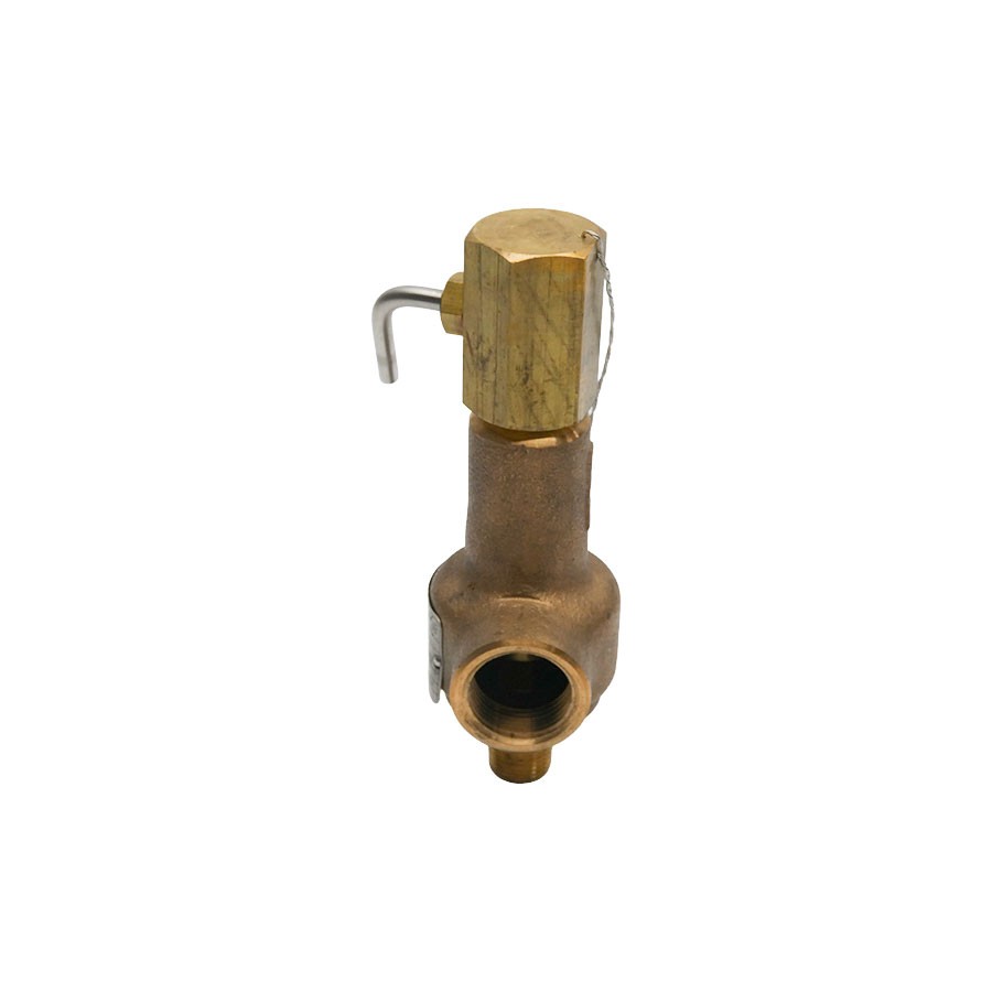 SPENCE 810PDCA-W100 100PSI .5″ NSNP