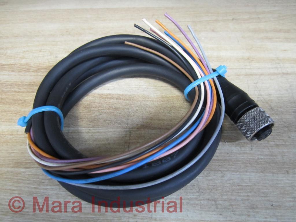 ifm Electronic E11807 Cable (Pack of 2)