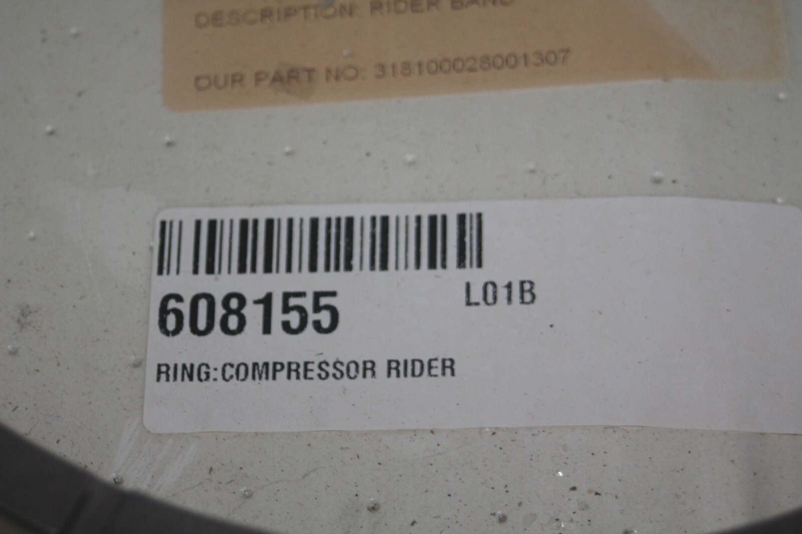 Compressor Rider Ring 077451 608155