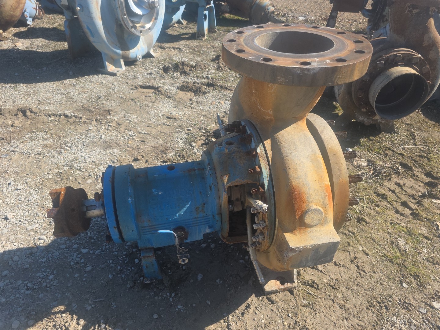 8×10-15 Goulds 3196XLT Pump CD4MCU 554745