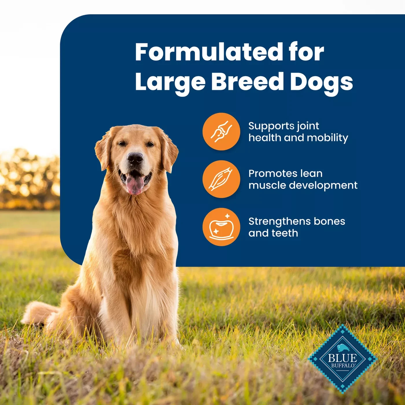 Blue Buffalo Life Protection Formula Chicken&Rice Large Breed Dry Dog Food, 30lb