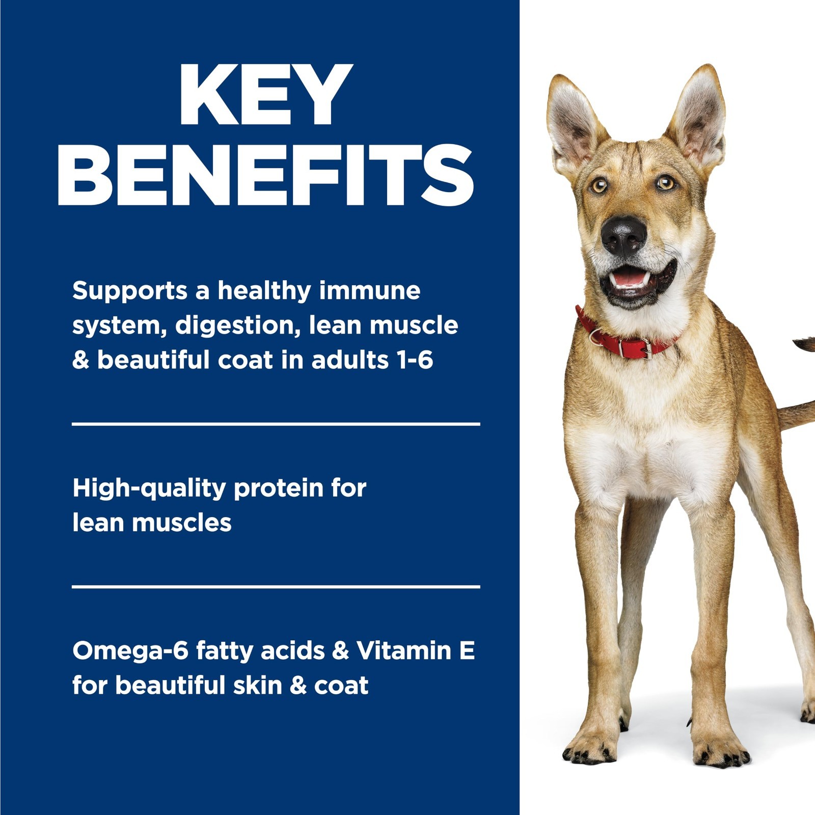 Hill’s Science Diet Adult 1-6 Wet Dog Food, Chicken & Barley, 13oz x 24 pack