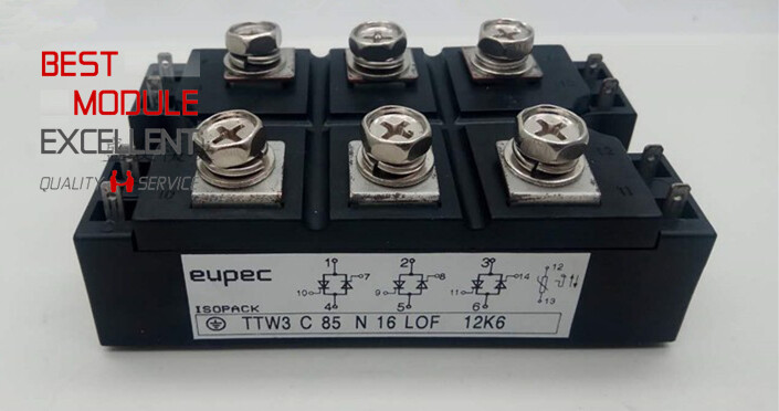 1PCS EUPEC TTW3C85N16LOF power supply module TTW3C85N16L0F Quality Assurance