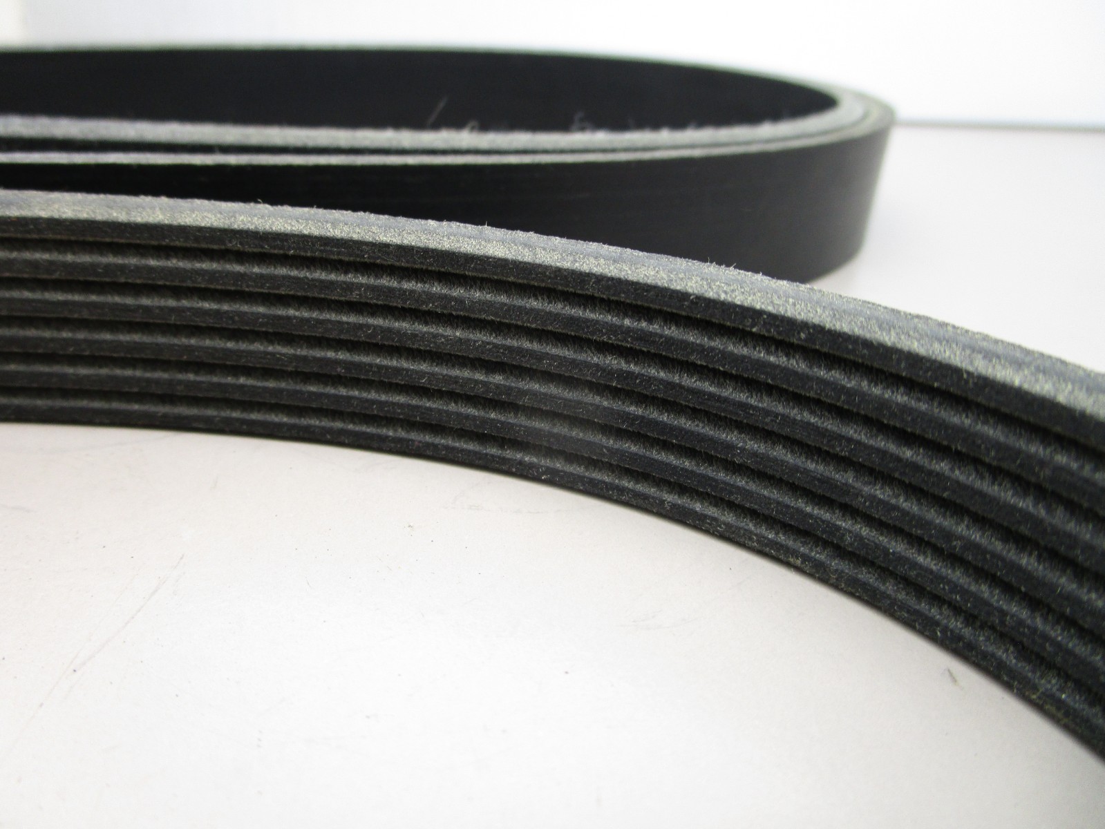 Napa 25-061000 Serpentine Drive Belt 20mm x 2555mm 13/16″ x 100-5/8″