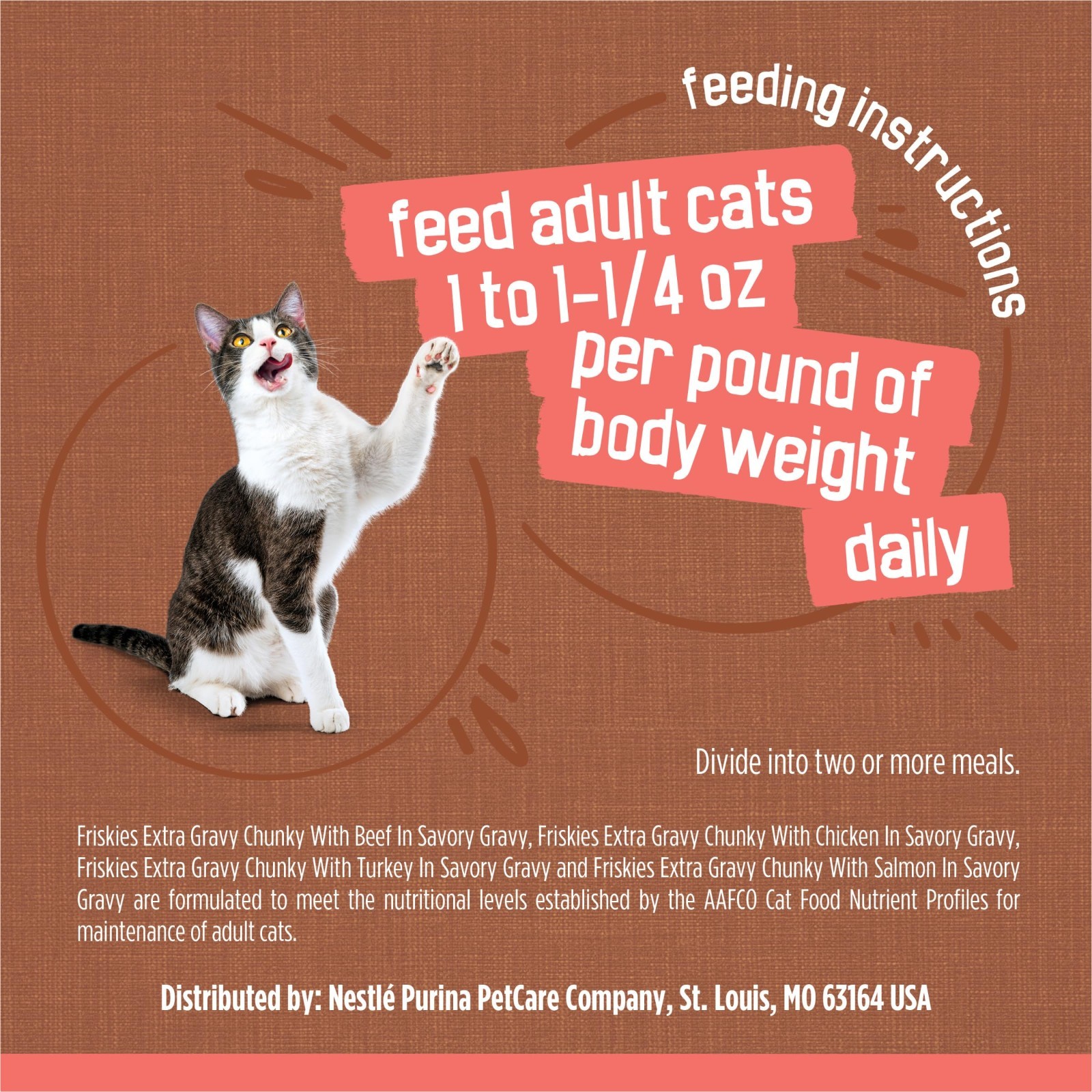Purina Friskies Extra Gravy Wet Cat Food Chunky 24ct Variety Pack, 5.5 oz. Cans