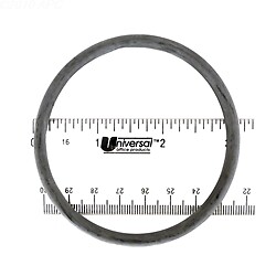 Astral Products 723R0700050 O-Ring Astral Pump Union
