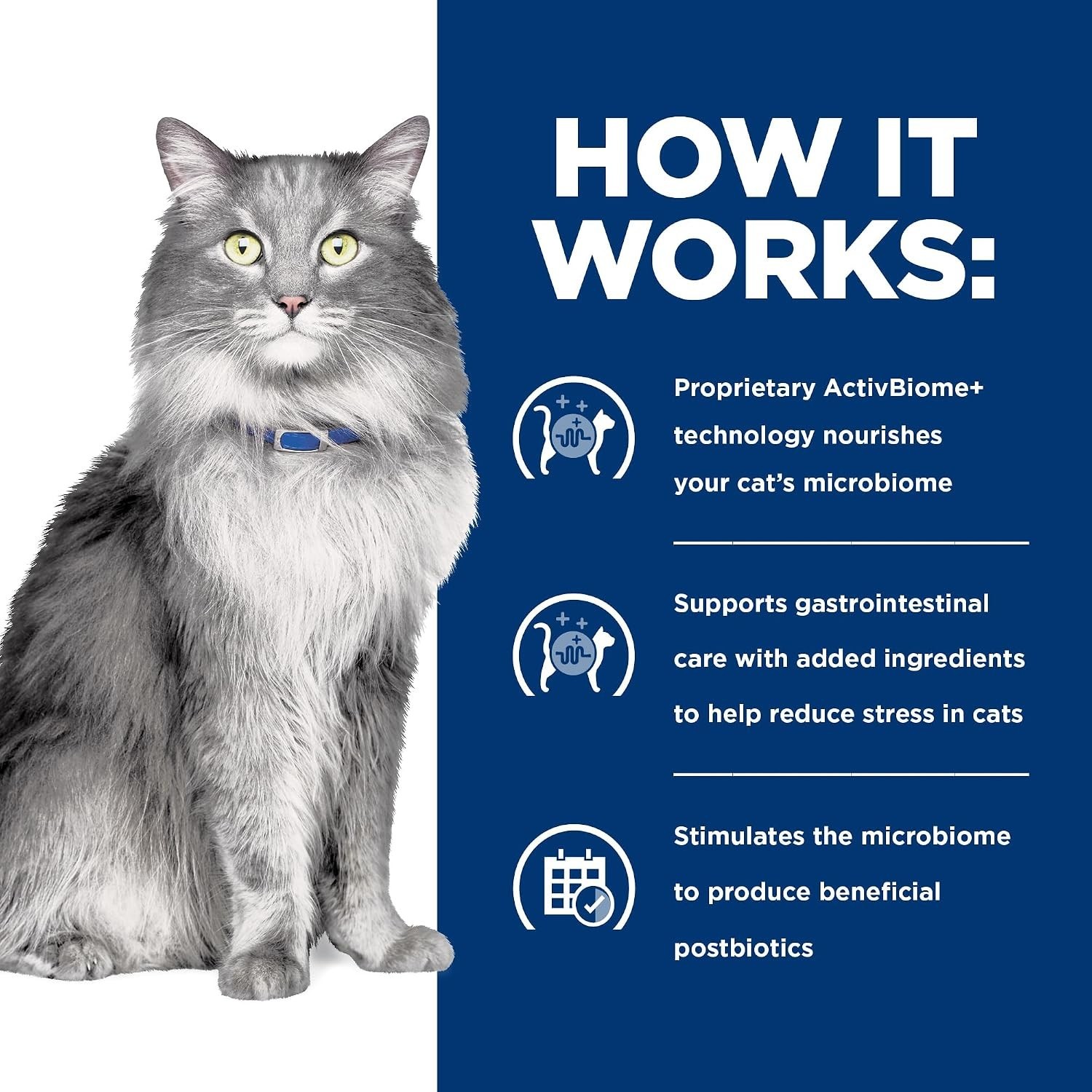 Gastrointestinal Biome Stress Digestive/Fiber Care Wet Cat Food, Chicken & Veget