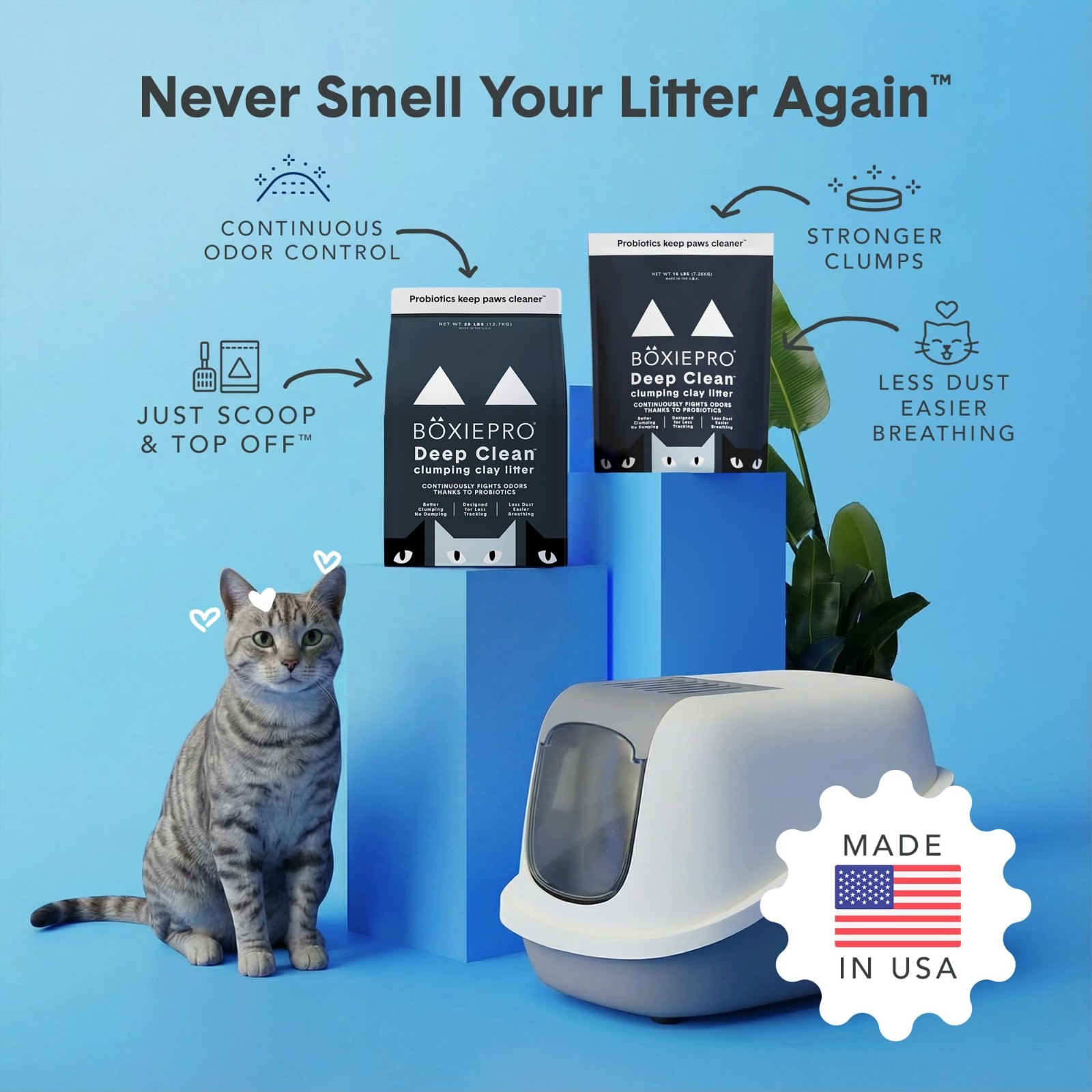 Boxie Probiotic Cat Litter, 40Day Odor Control, Clumping Clay Kitty Litter, 40lb
