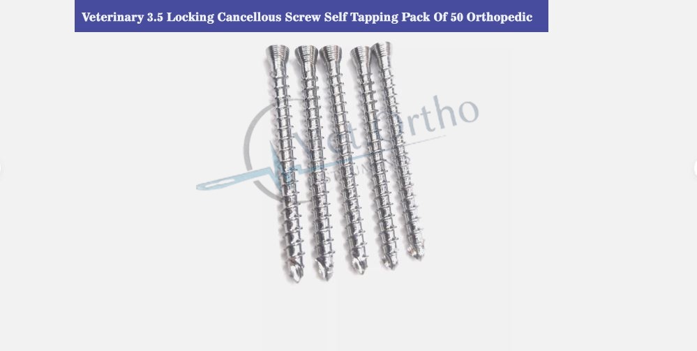 Veterinary 3.5 Locking Cancellous Screw Self Tapping Pack of 50 pcs