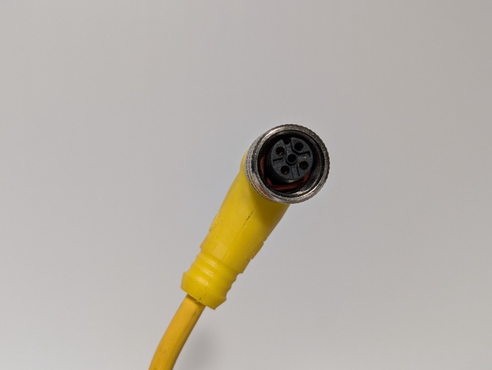 Lot of 2 Woodson 803001A09M050 Cordset 16.4′ L, M12(F) to Open Leads, 250VACVDC