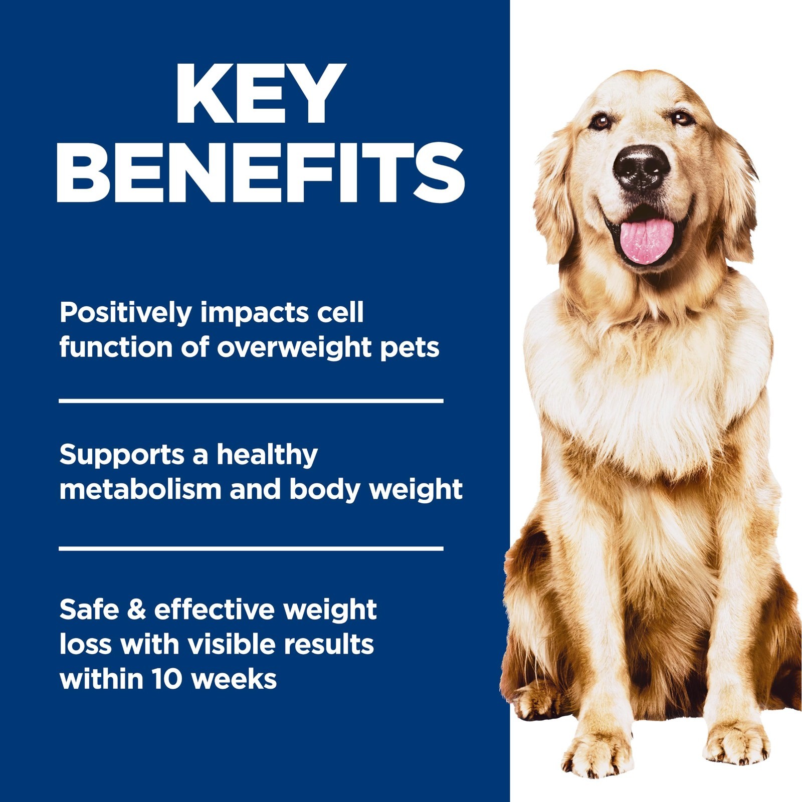 Hill’s Science Diet Adult 1-6 Perfect Weight Dog Food, Chicken & Brown Rice,25lb