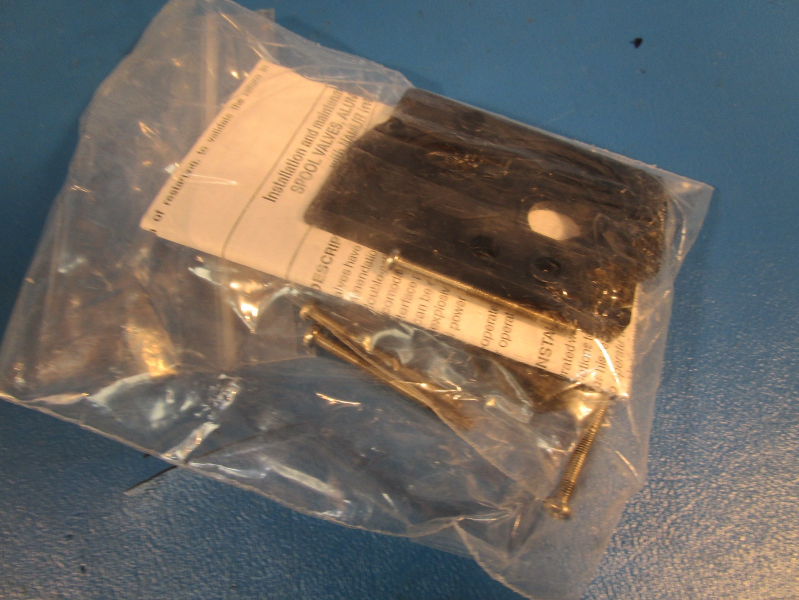 Bray 630250-21410536, Solenoid Valve, 120VAC