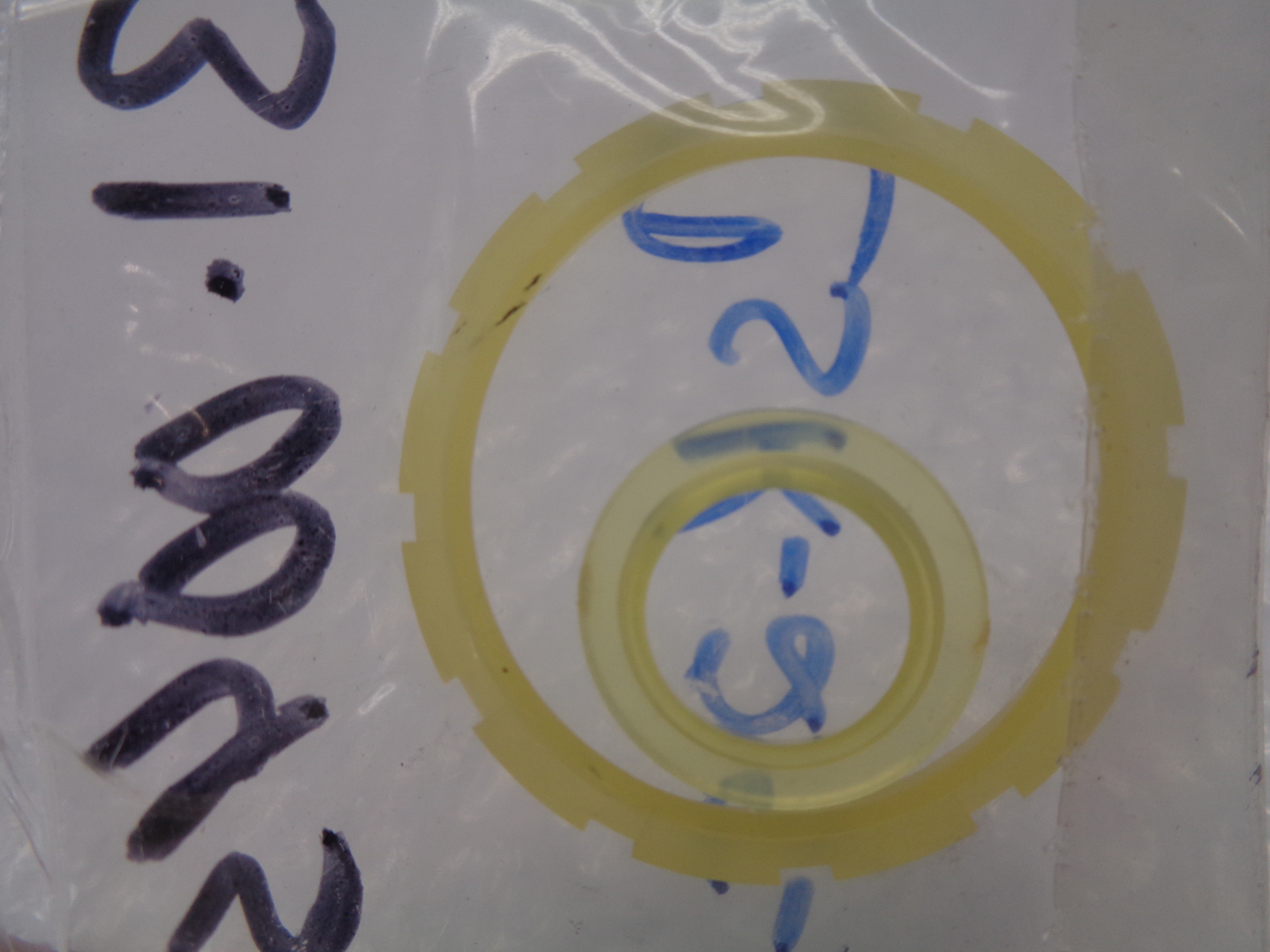 INDUSTRIAL SPARE CSK-25-1 O-RING LOT OF 2 NSNP