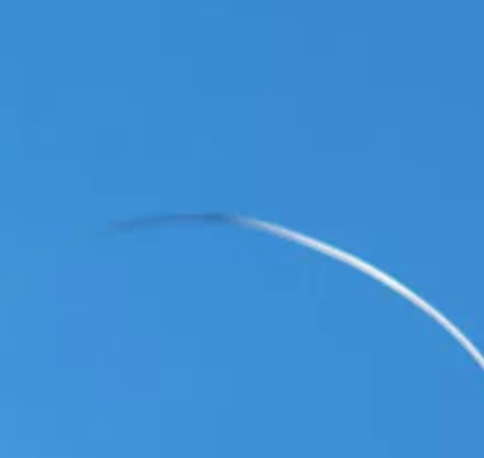 1PC Flame test platinum wire, platinum electrode Diameter 0.8mm / 1cm