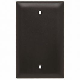 Pass & Seymour TP13BK Blank Wallplate 1 Gang 4.7 in Thermoplastic Black