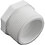 Lasco 439-209 Reducer 1-1/2mpt x 1/2fpt PVC SCH40