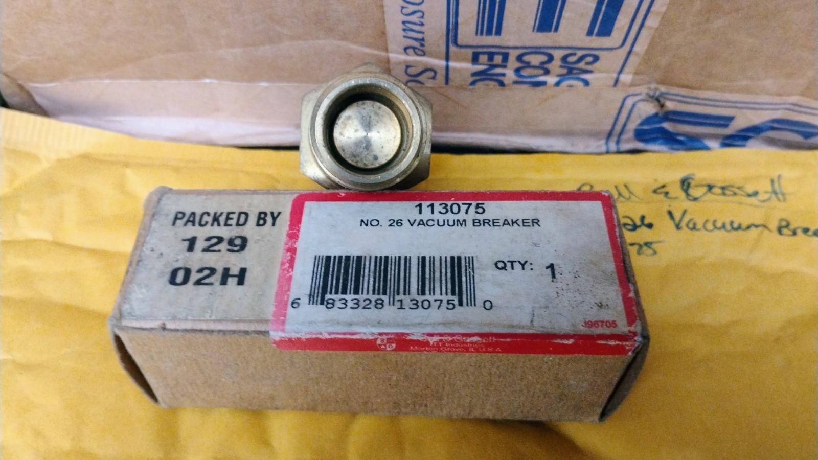 Bell & Gossett 113075 Vacuum Breaker, 3/4 in, MNPT, 240 psig, 300 deg F