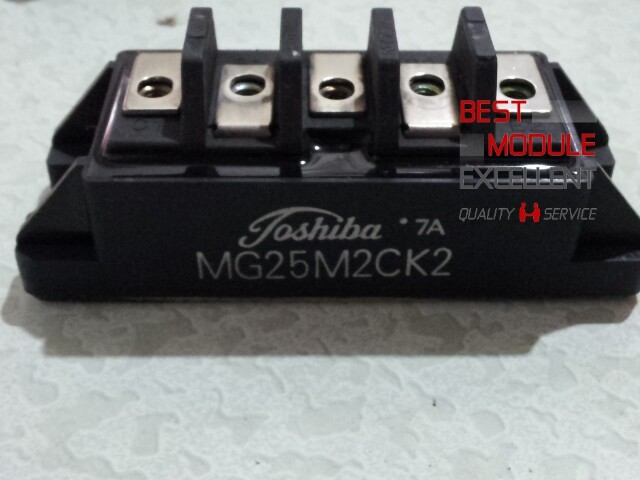 1PCS TOSHIBA MG25M2CK2 power supply module NEW 100% Quality Assurance