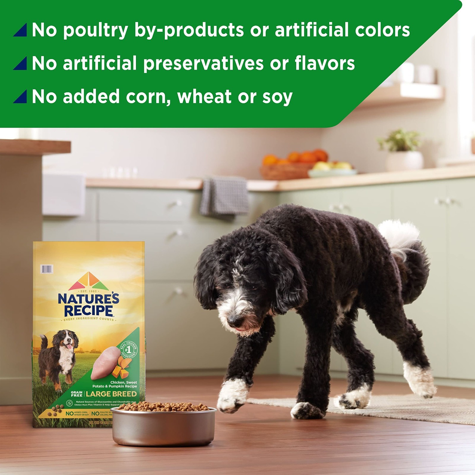 Nature’s Recipe Grain Free Large Breed Chicken,Sweet Potato& Pumpkin Recipe,24lb