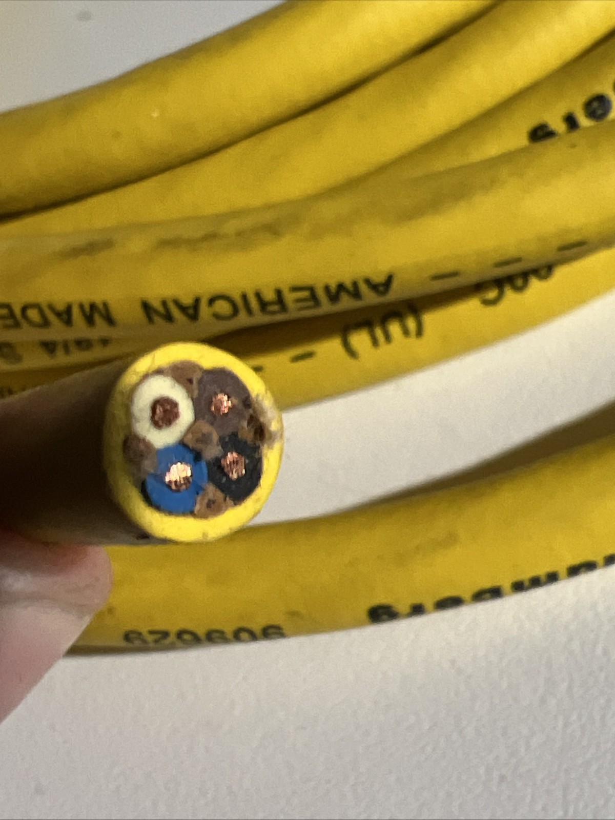 lumberg RKT4-629/5M FeMale 18/4 4-pin Sj00 Wire Cable Connector Automation See P