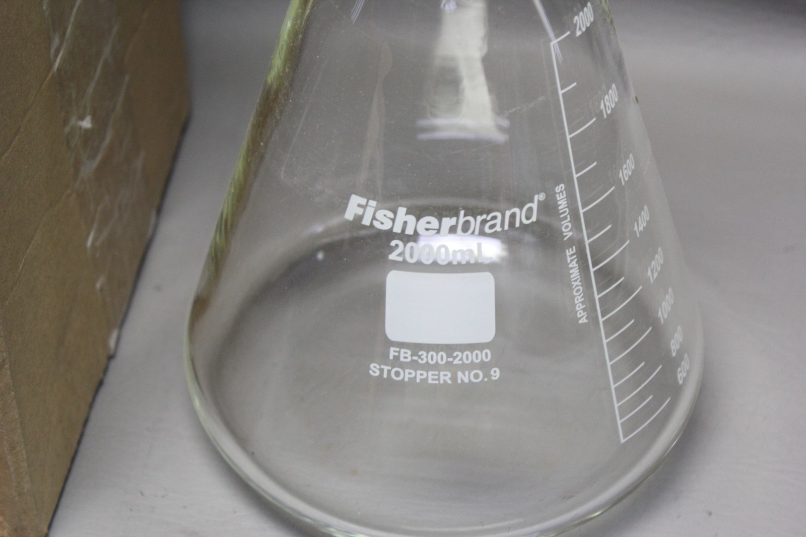 NEW FISHERBRAND 2000mL GLASS HEAVY WALL FILTER FLASK FB-300-2000
