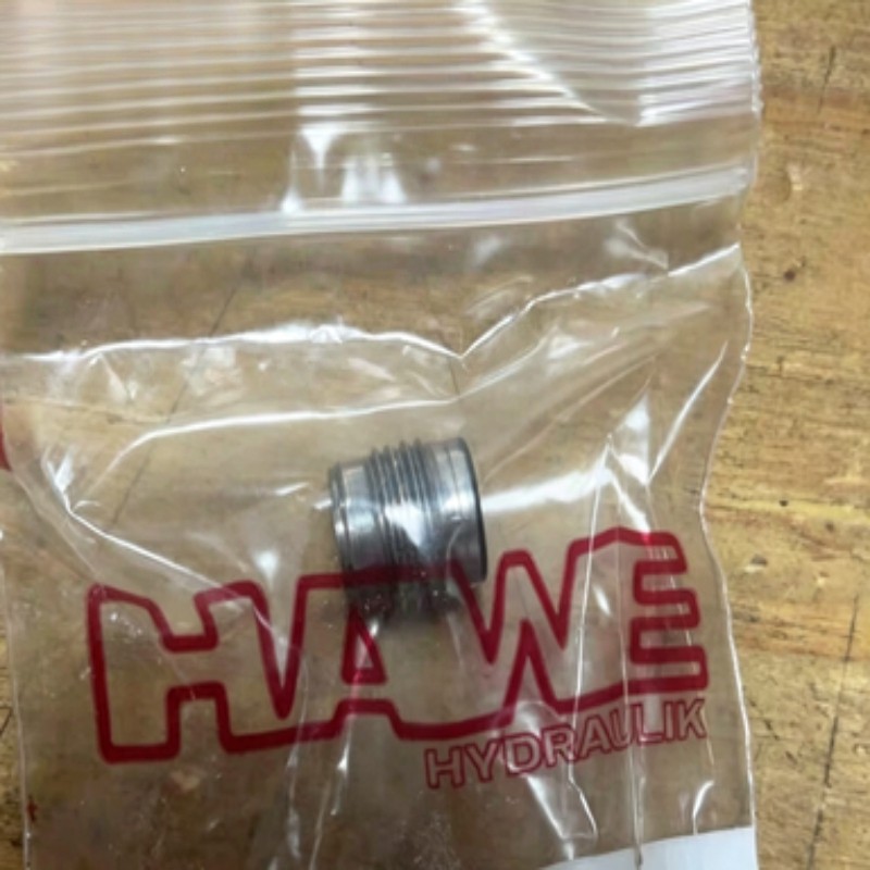 1PC NEW FOR HAWE RC1 Check Valve