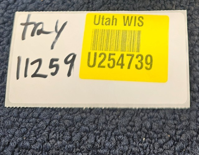 (2 PCS) LAMONS Spiral Wound Gasket w/ Inner Ring 2-1/2″ B16.20 150 304 FG CRS